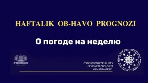 По Узбекистану вновь похолодало