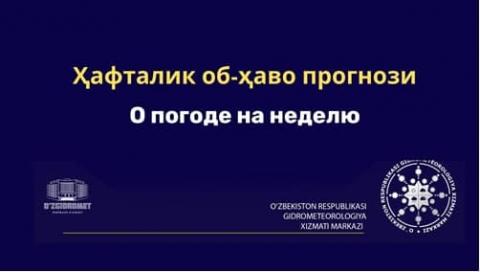 Умеренно жаркая погода сохранится в течение недели