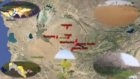 Научная командировка в пустыню Кызылкум