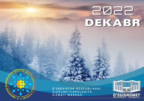 2022-yilning dekabr oyida sovuq ob-havo