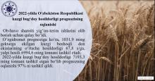 Оправдываемость прогноза урожайности озимой пщеницы по Республике Узбекистан в 2022 году